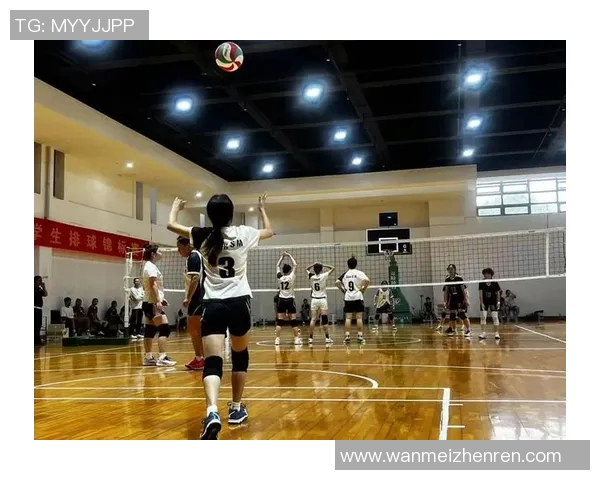 运动数据排球盛宴深入了解杭州排球队的团队意识与精神风貌